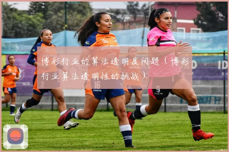 博彩行业的算法透明度问题（博彩行业算法透明性的挑战）