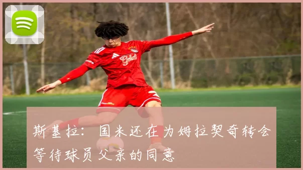 斯基拉：国米还在为姆拉契奇转会等待球员父亲的同意