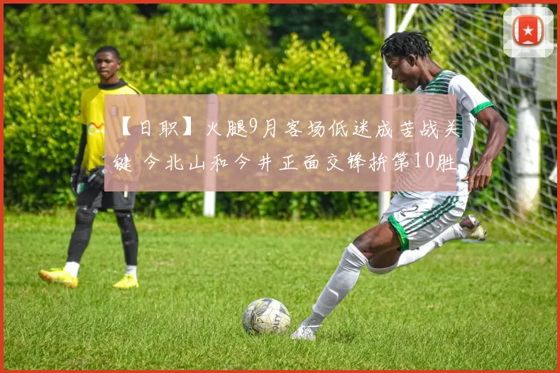 【日职】火腿9月客场低迷成苦战关键 今北山和今井正面交锋拚第10胜｜日本职棒