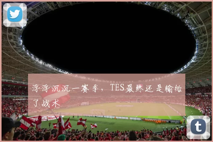 浮浮沉沉一赛季，TES最终还是输给了战术